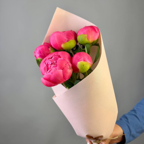 Букет из 5 коралловых пионов