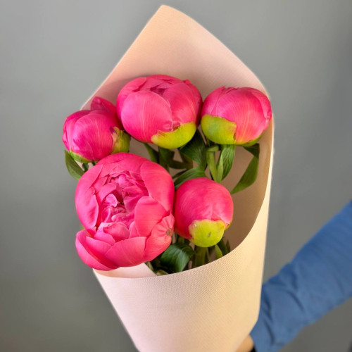 Букет из 5 коралловых пионов