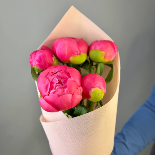 Букет из 5 коралловых пионов