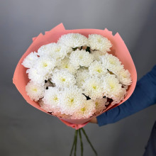 Букет из 5 кустовых хризантем сорта Алтай