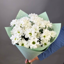 Букет из 5 кустовых хризантем ромашкой