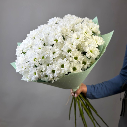 Букет из 15 кустовых хризантем ромашкой