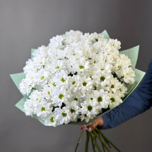 Букет из 15 кустовых хризантем ромашкой