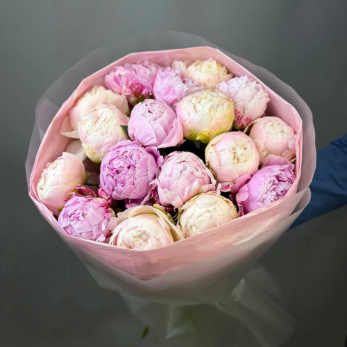 Букет из 15 пионов бело-розовый