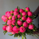 Букет из 25 коралловых пионов 