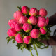 Букет из 15 коралловых пионов 
